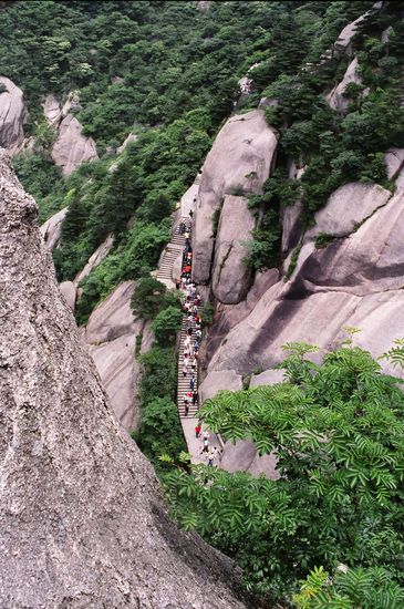 Ants on the anthill....