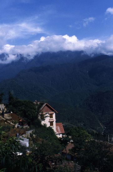 All you have to do is point your camera anywhere and fire away... 4 out of 5 shots will be keepers!