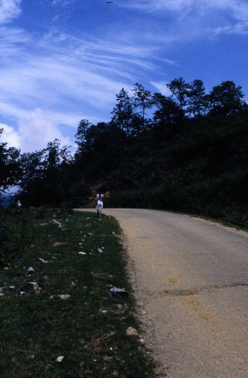 One of the girls running around and plucking berries.