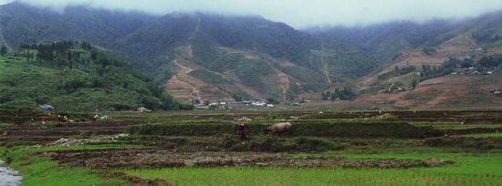 Theres a man dragging a buffalo at the centre of this panoramic shot. Mental note: Buy a tele lens!