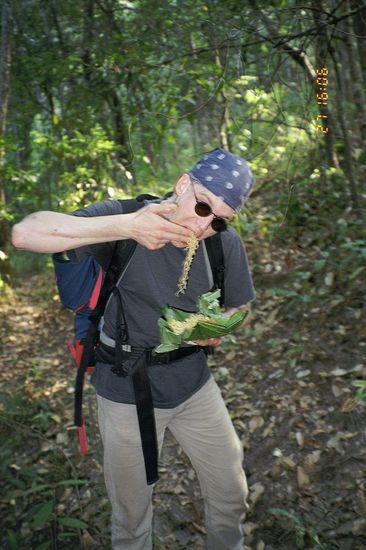 Except for the first meal the food is served ecologically, that is, in banana leaves. 
Even the "cutlery" is reusable.