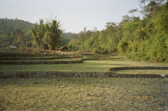 Western people usually only know rice fields from war movies.
Well, it's nicer without the shooting.