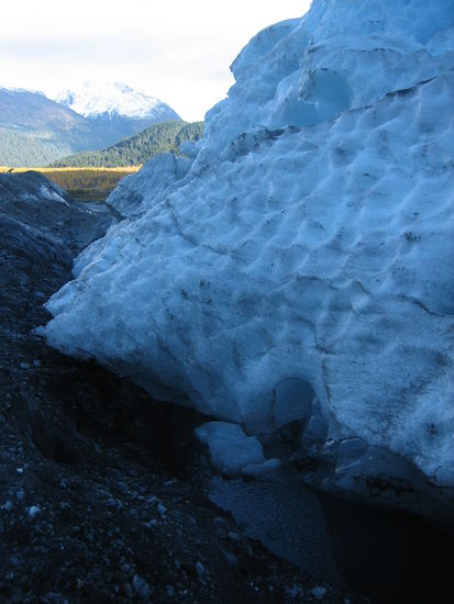 Exit Glacier