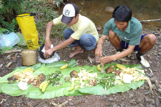 Lunch on banana leaves