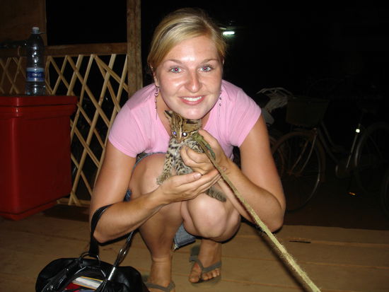 cute little tiger baby