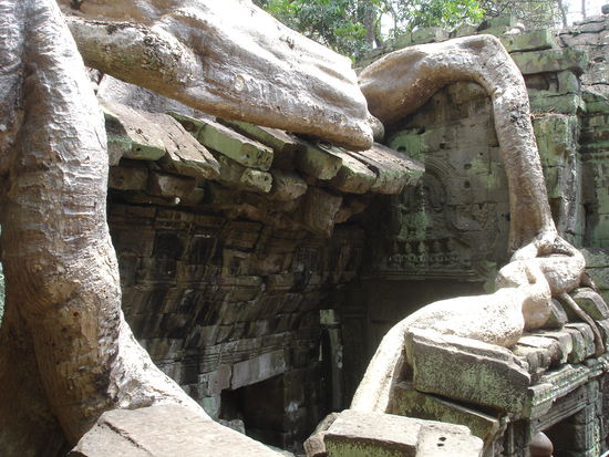 Ta Phnom also known from Lara Croft