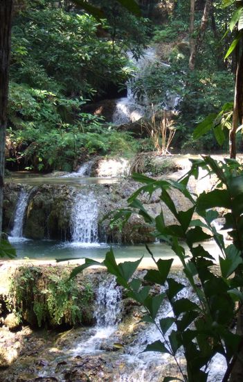 6th tier (click here for photos of tier 2 and 5)