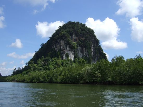 Karsts and mangroves along the river