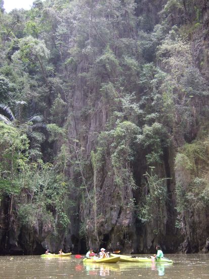 Sheer cliffs covered in clinging vines