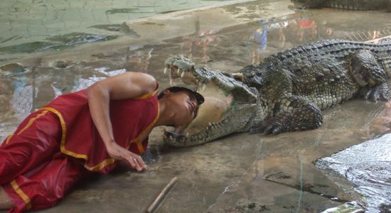 Now his whole head goes inside! Hope that croc is well fed, because if he gets hungry during the show...