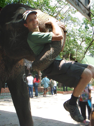Elephant picking me up