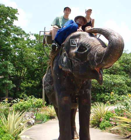Riding an elephant with my sister