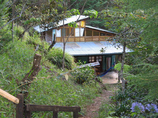 My hut in Coroico for two nights (it may look bigger than it actually was).