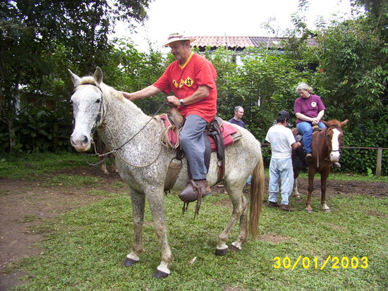 ...this horse has only two gears: slow  and fast forward...
