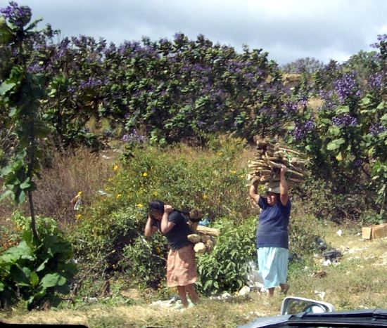 Not uncommon sight: women carrying heavy load...