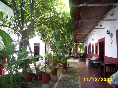 ...house plants in Canada would turn green with envy if they saw their cousins in Mary's hotel...