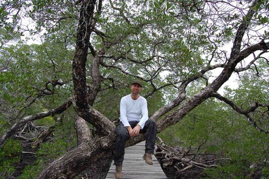 Mangrove Reservation Project on Ko Chang