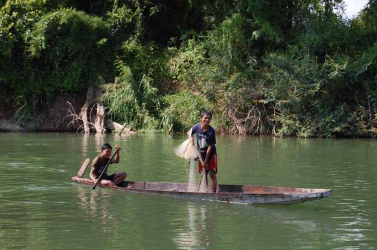 Hunting for dolphins?