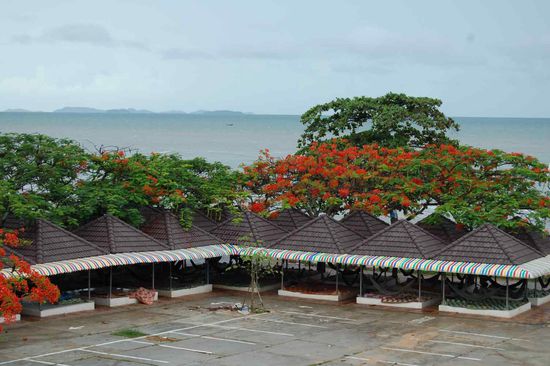 Nothing to do? There is always a hammock nearby...