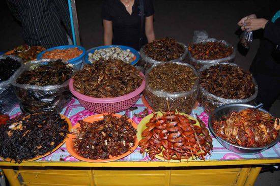 Whatever moves, you can also eat!