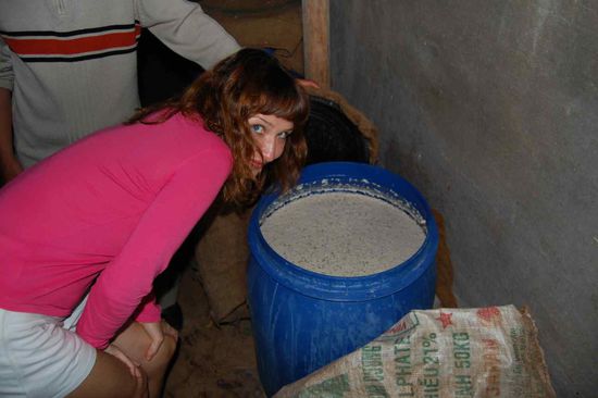 Rice wine fermentation and degustation