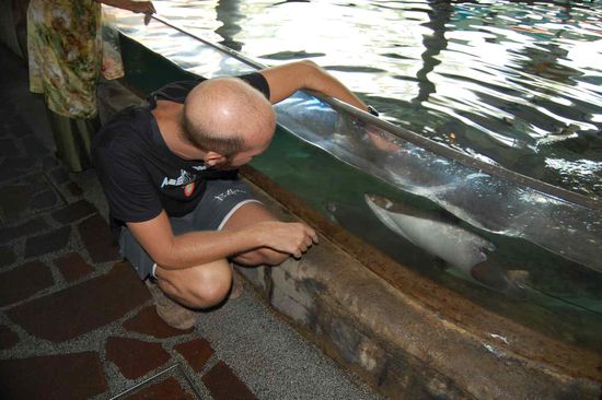 In touch with a stingray