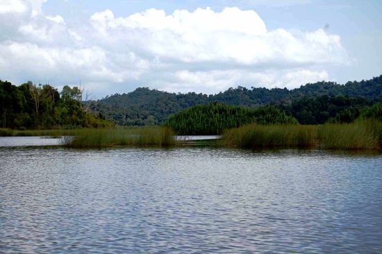 Tasik Chini Lake