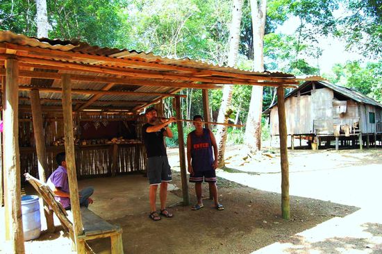 Hunting for tourists with the blow-pipe