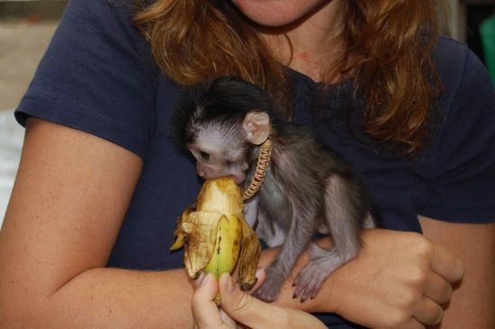 Making new friends...