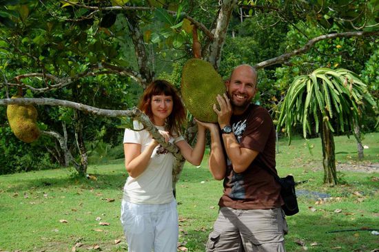 20 kg monster-Durian