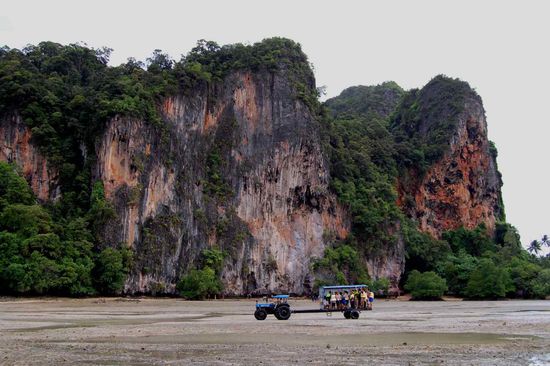 Our beach at low tide