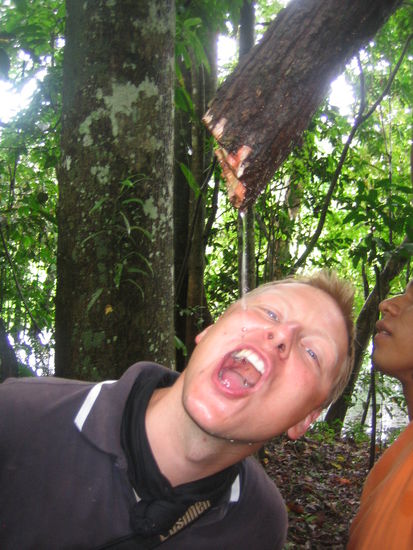Drinking water out of a tree. Tasty!