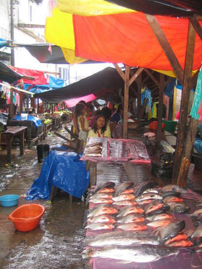 In the middle of the market of Belen when it started to rain.