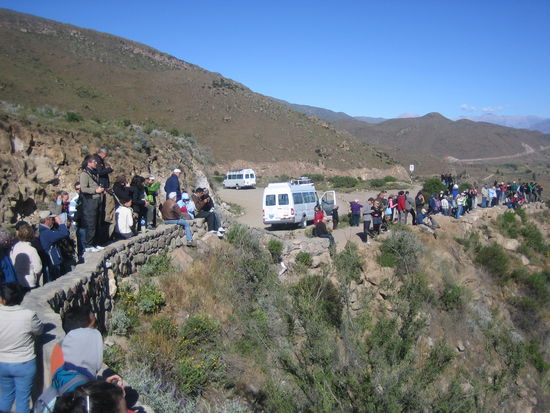 Everybody is expecting the condors...