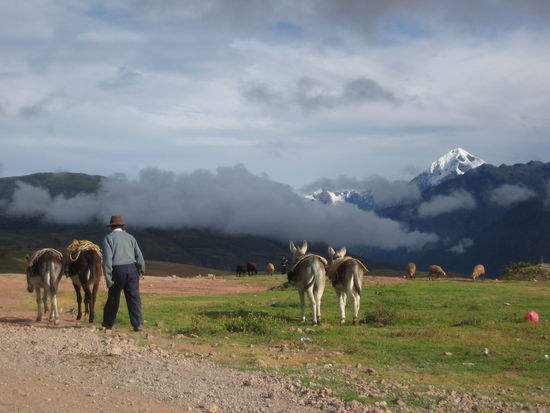 A farmer that I shared the way with for a little while. We had a nice "men-to-men" chat. No, he didn´t speak English. No, I don´t speak Spanish. But that wasn´t a problem!
