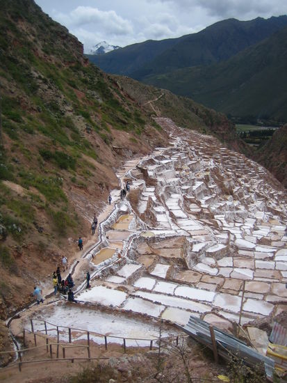 The Saltines of Cachi-Racay.