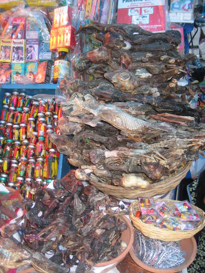 Lama fetus on the Witch market. You need one if you built a house, it helps against bad ghosts!