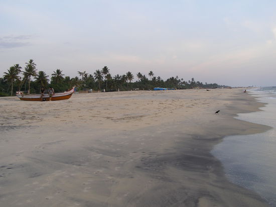 Alleppey Beach