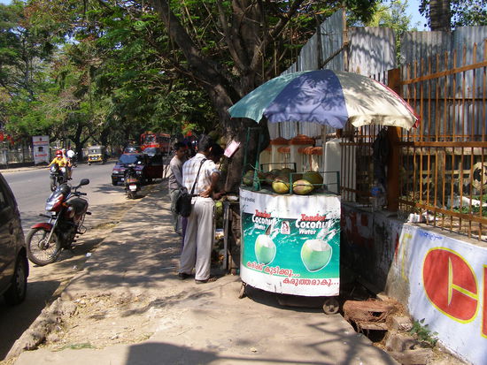 Time to drink coconut water