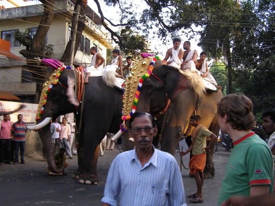 Elephant procession