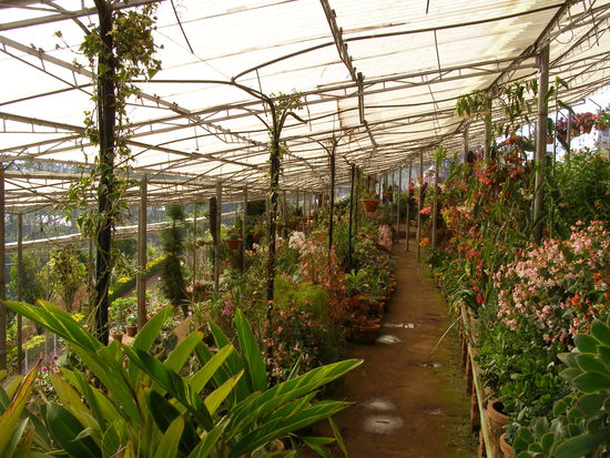 Floriculture Stellite Centre