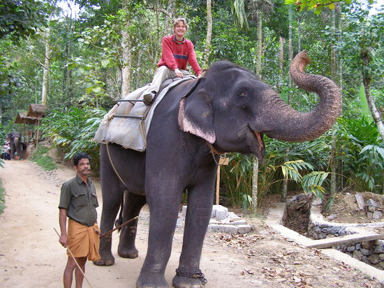 First time on an elephant