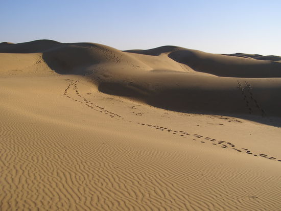 A large sand dune only for our small group
