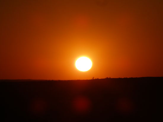 Sunset in the Thar desert