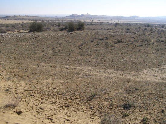 another view of Thar desert