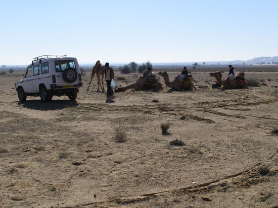 End of camel safari