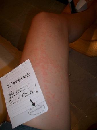 The result of Nora making friends with the local sea life