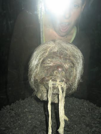 Aaaah! A real shrunken head - how horrible!!!