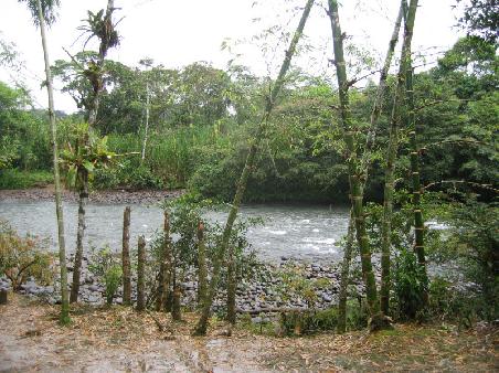 another view of the river