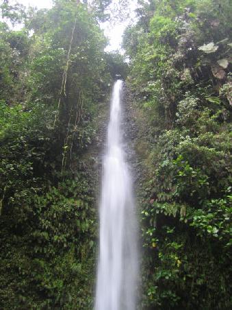 a waterfall